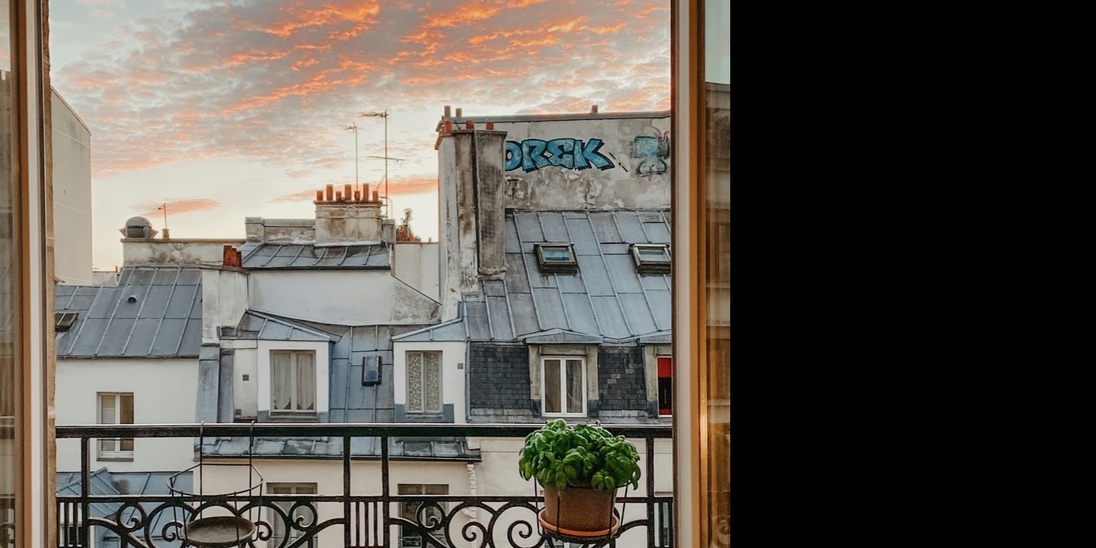 Balcon en fer forgé fleuri donnant sur les toits de zinc de Paris